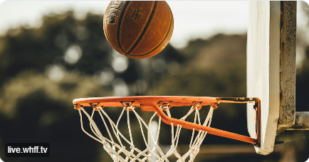 Mental training and support for athletes in competitive sports
